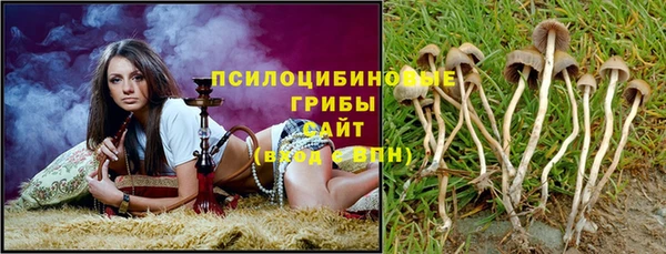 apvp Волоколамск